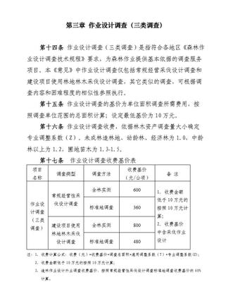 作业设计调查