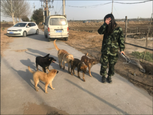 QQ截图20190331184502.png